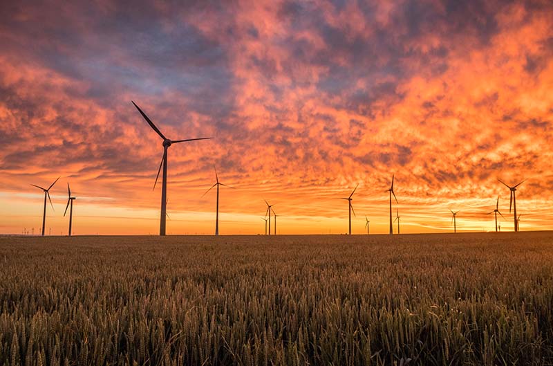 a large number of windmills on horizon